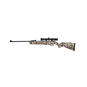 Predator Air Rifle .177 cal