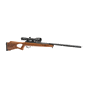 Benjamin Trail NP.22 Wood Stock