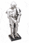 Knight In Shining Armour