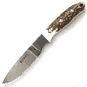 Kommer Brow Tine Stag Handle RS