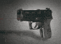 Sig P245 Laser Sight