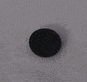 Switch Seal