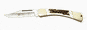 Gold Series Duke